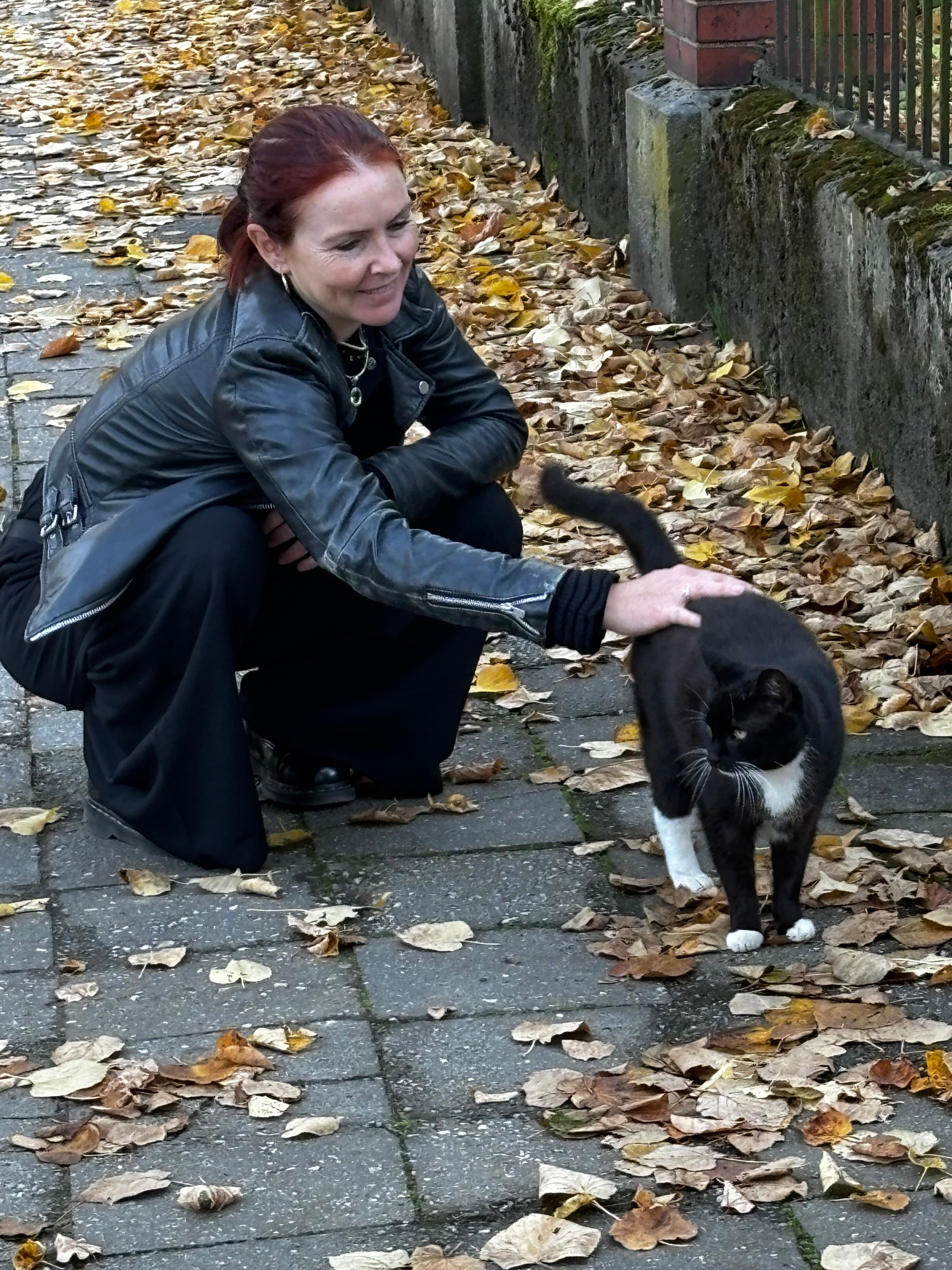 Katze in ruhiger Umgebung